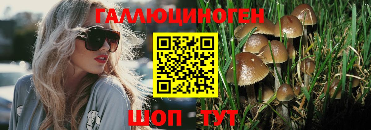 Псилоцибиновые грибы прущие грибы  Галлюциногенные грибы Psilocybe  Людиново  Вход с VPN 